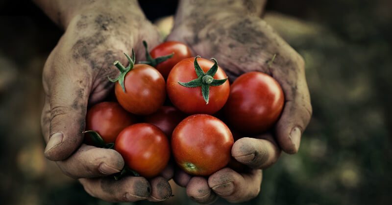 Meet Our Local Suppliers