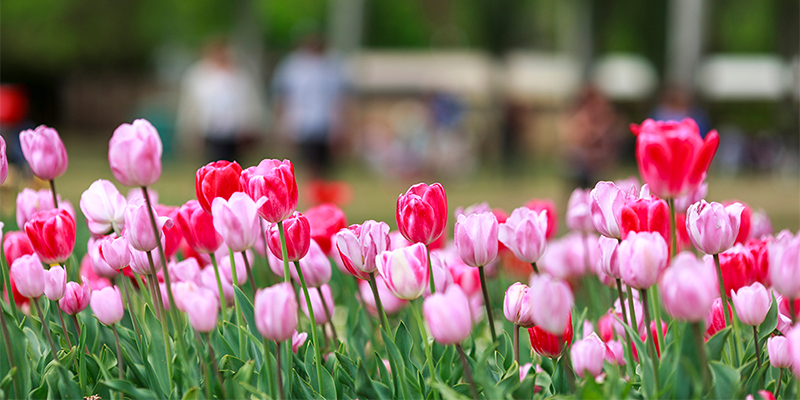 Floriade 2016