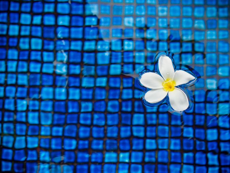 Canberra Spa Days