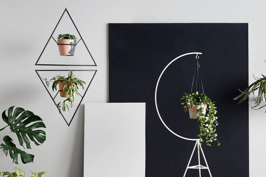 A Boutique Guide to Canberra