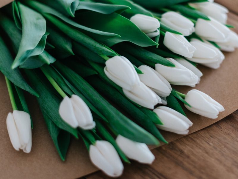 Mother’s Day Gift Guide