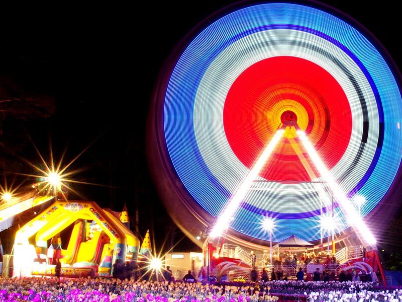 Your Guide to Floriade NightFest