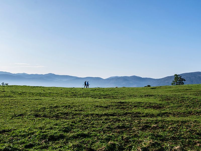 Five Hikes to Hit this Spring