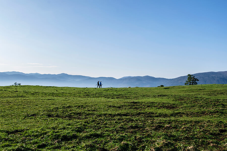 Five Hikes to Hit this Spring