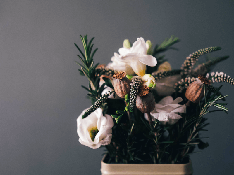 Start the New Year Afresh