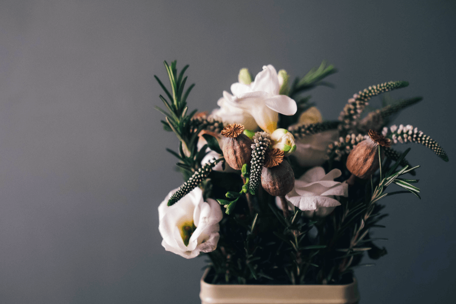 Start the New Year Afresh