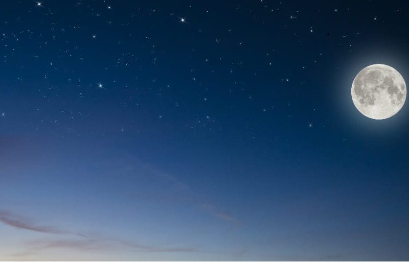 Movies Under the Stars