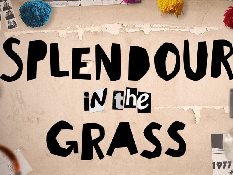 Splendour in the Grass 2017 Lineup