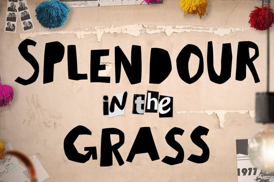 Splendour in the Grass 2017 Lineup