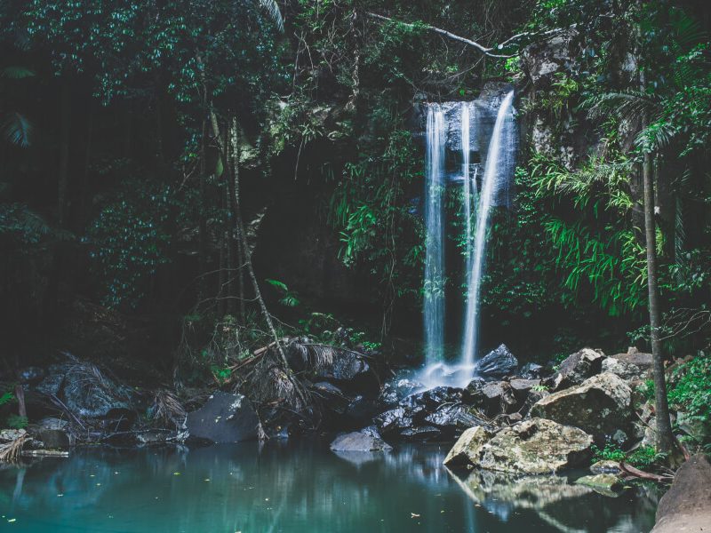 A day on Tamborine Mountain