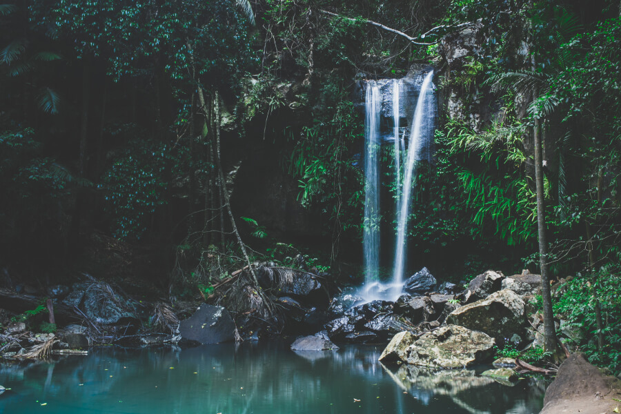 A day on Tamborine Mountain