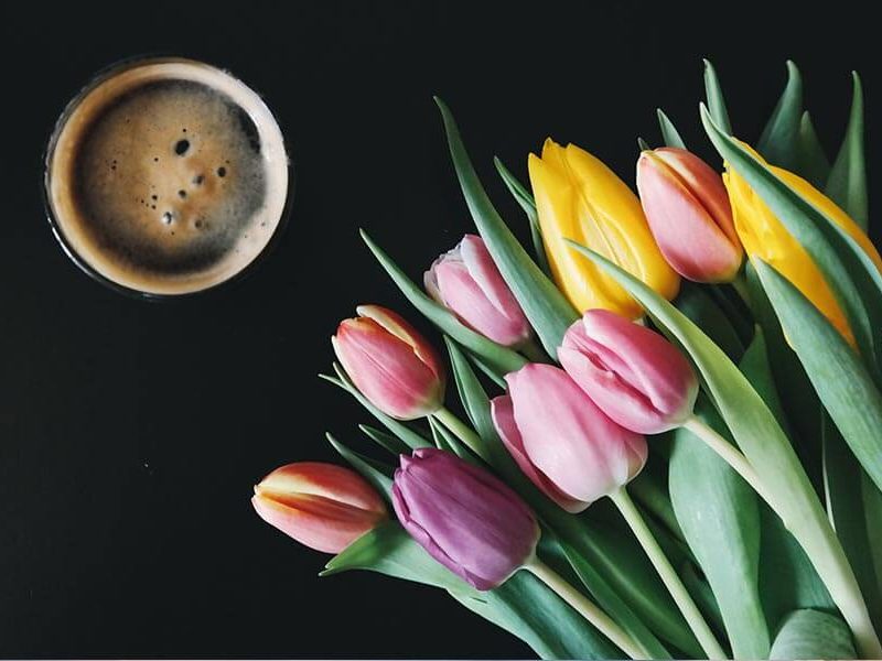3 ways to enjoy your sick day