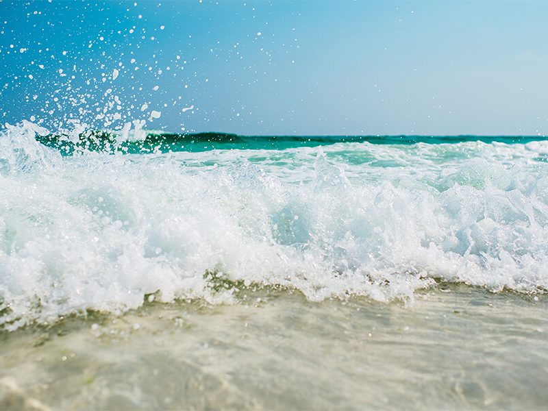 A Guide to Currumbin: Mick & Joel
