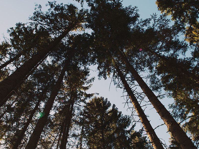 Grab your Nature Fix on the Gold Coast
