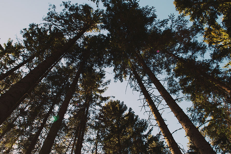 Grab your Nature Fix on the Gold Coast