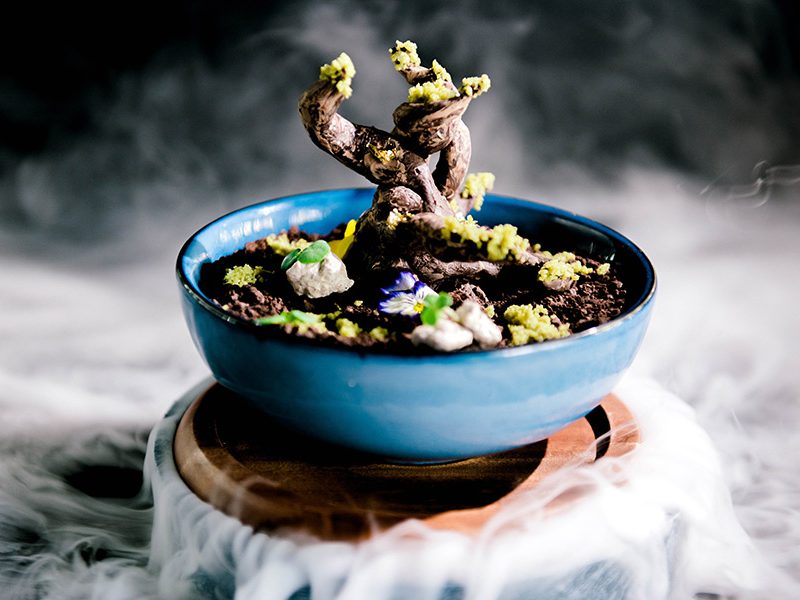 Yamagen Gold Coast - Bonsai Tree