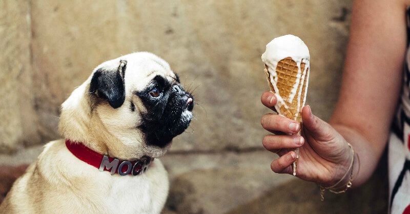 The Best Ice Cream in Bondi