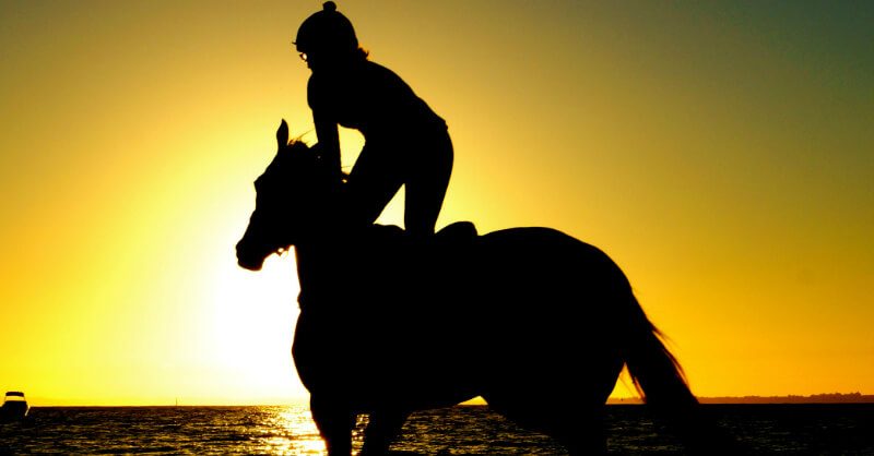 Bondi Beach Polo 2016