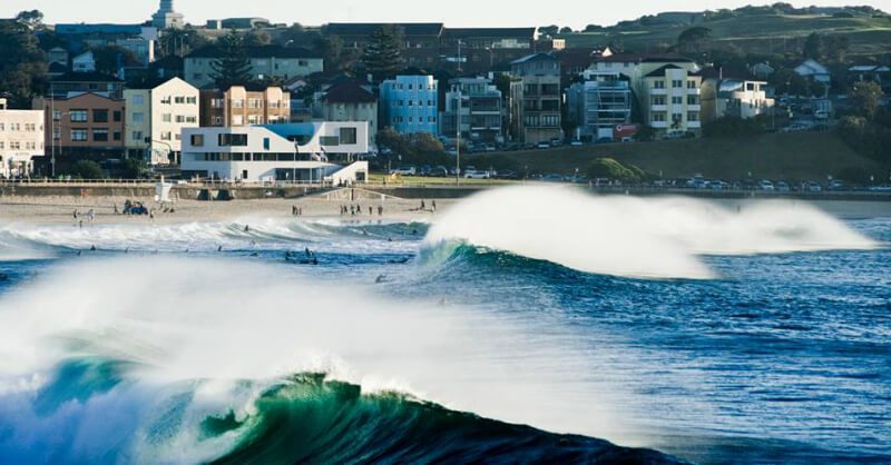 Discover Bondi Tour