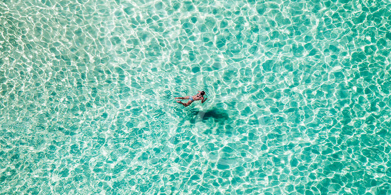 Happy Snappers of Bondi