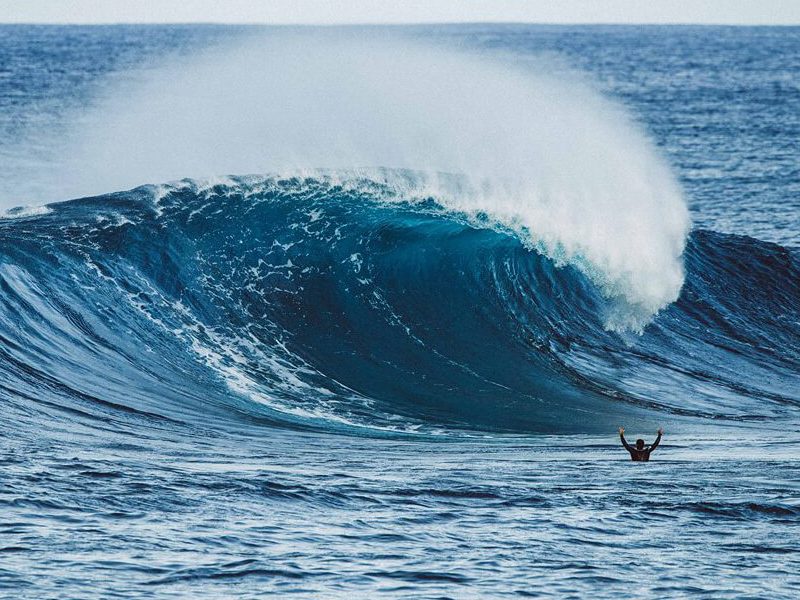 Really, Really, Really Good Surfers