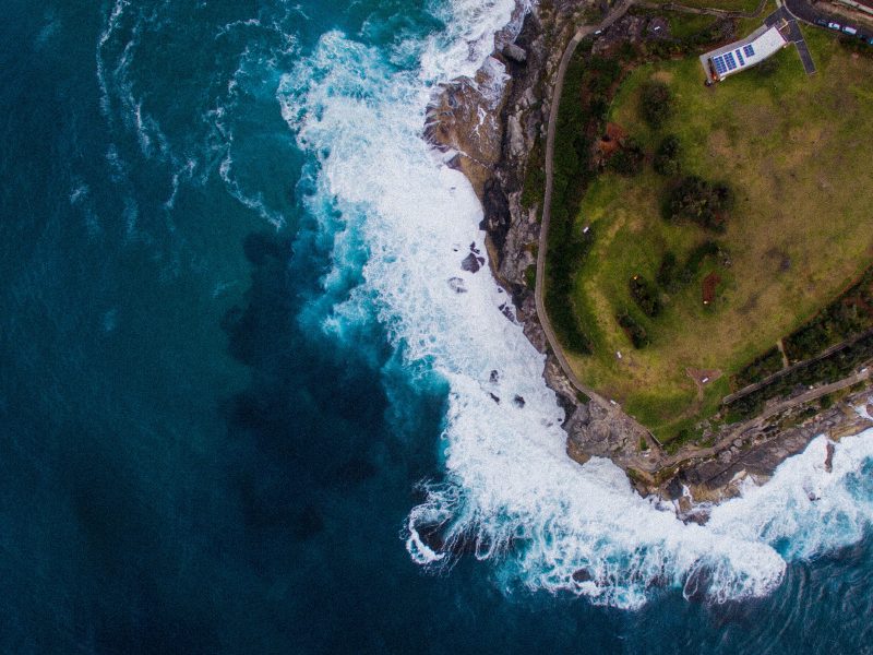 Your Weekend Guide for Bondi