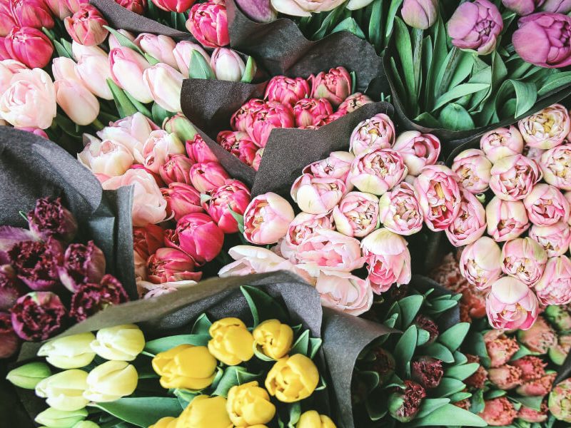 Celebrate Mother’s Day in Bondi