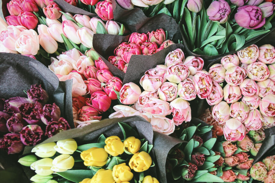 Celebrate Mother’s Day in Bondi