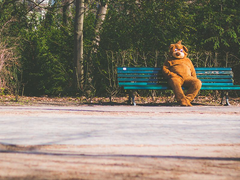 The Best Dog Parks in Bondi
