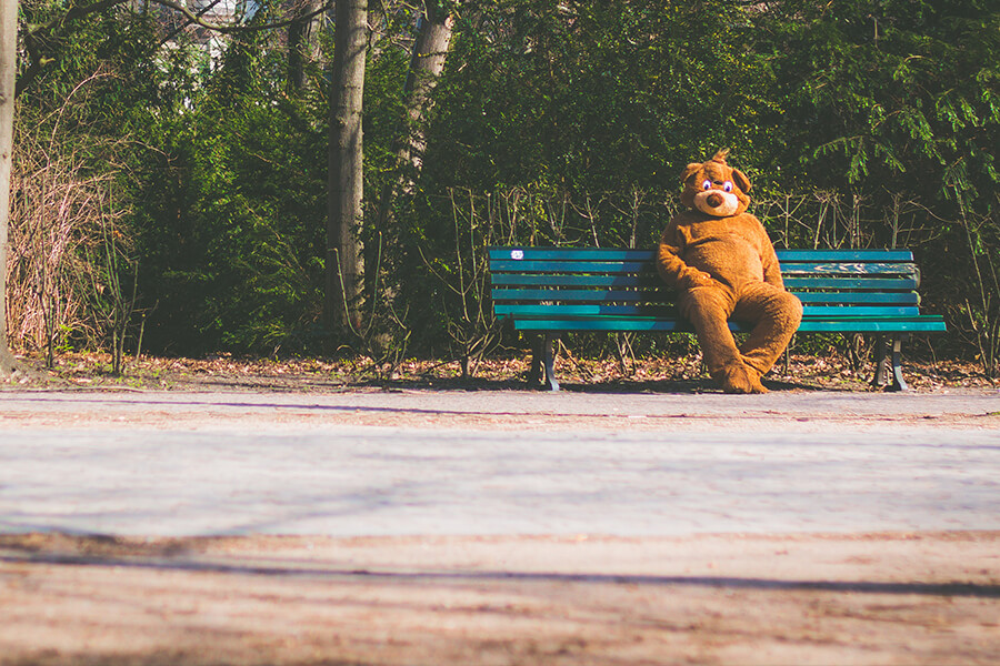 The Best Dog Parks in Bondi