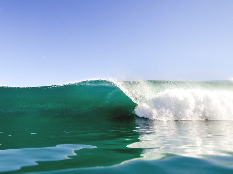 Lets Go Surfing this Spring