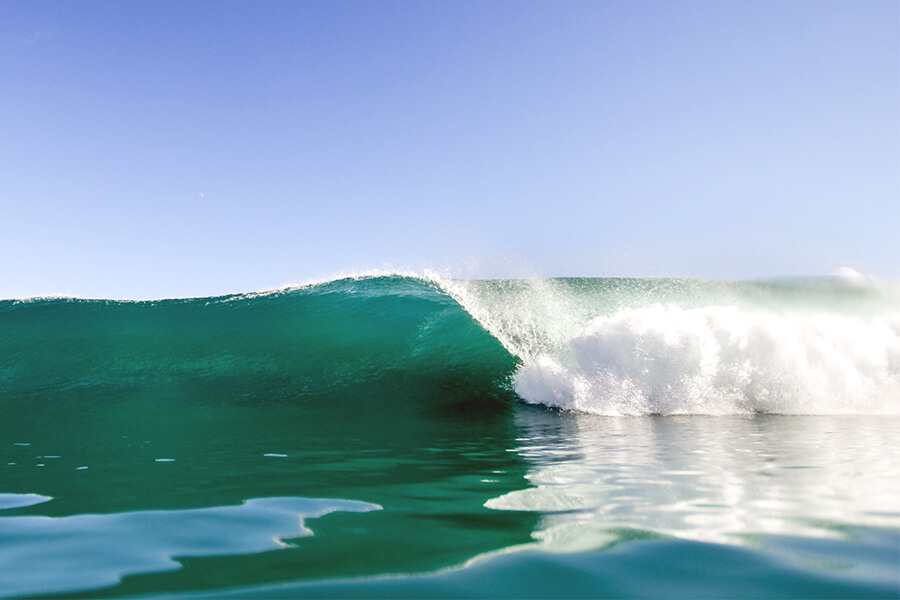 Lets Go Surfing this Spring