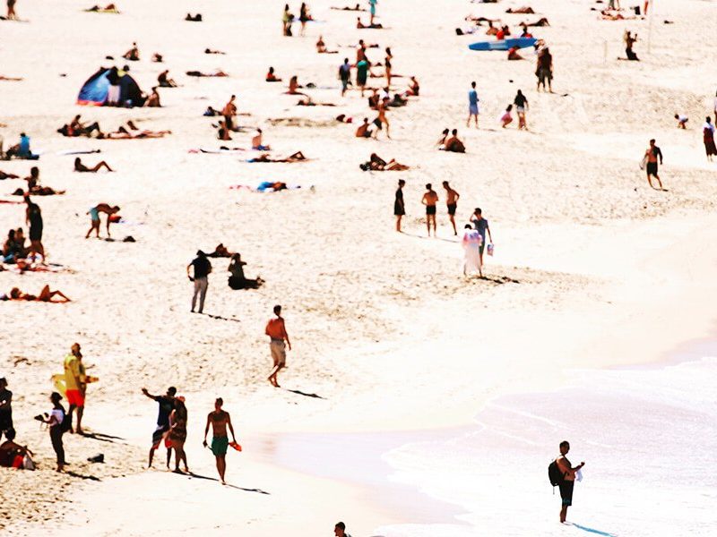 A Local’s Guide To North Bondi