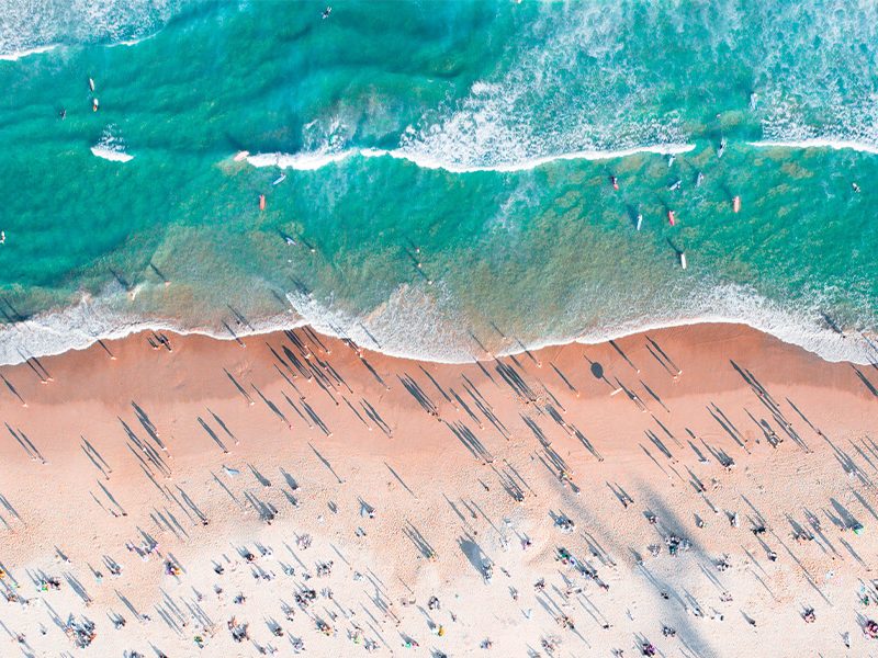 Your Foodie Guide to Sculpture by the Sea