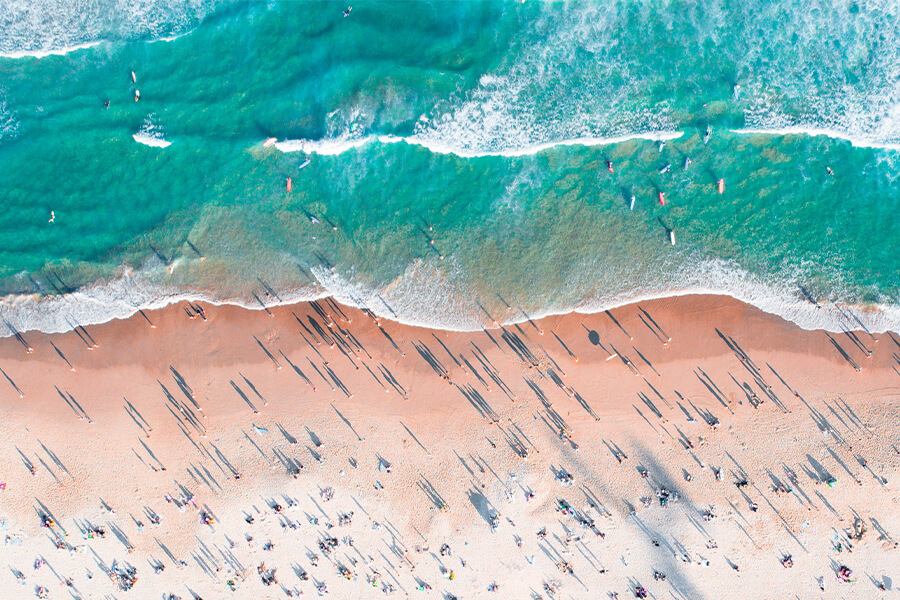 Your Foodie Guide to Sculpture by the Sea