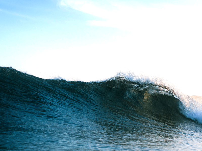 A Tribute to the Bondi Lifeguards