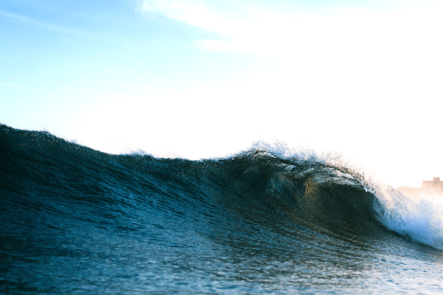 A Tribute to the Bondi Lifeguards