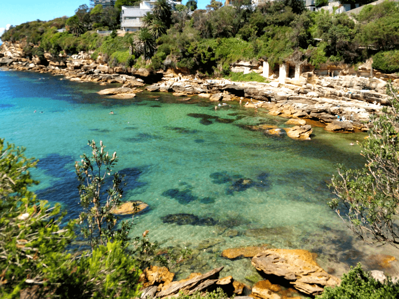 Hidden Beaches in the Eastern Suburbs