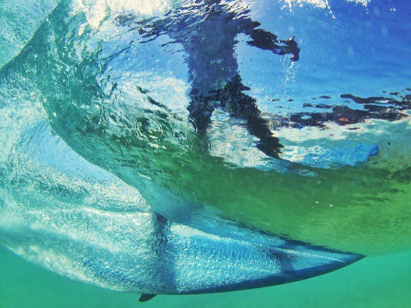 Lets go Surfing