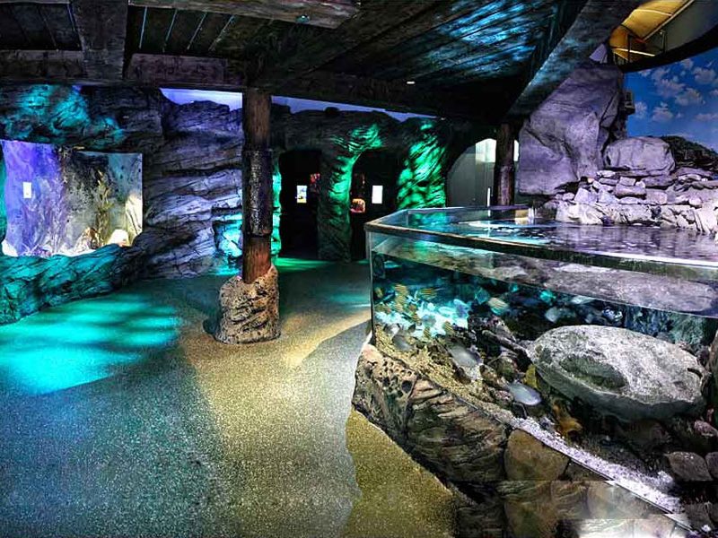 Sea Life Aquarium